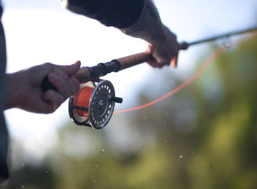 In action the Mackenzie DTX FX1,Graphene.Copyright : Gabi Tomescu