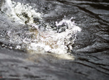 Opening day - River Moriston